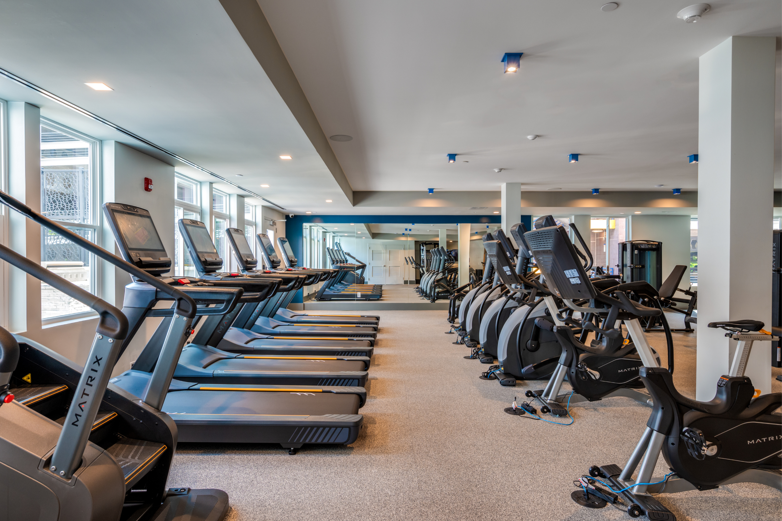 the gym with treadmills, ellipticals, and weights