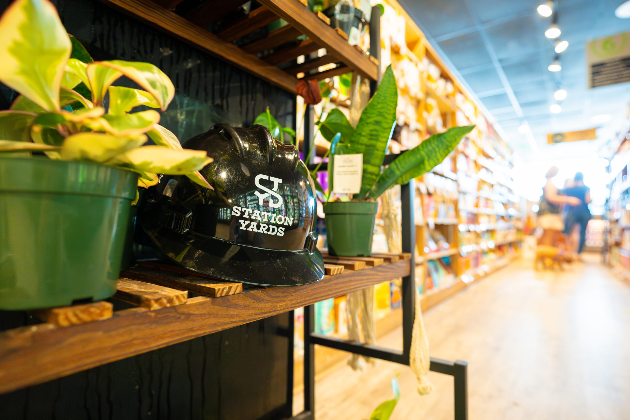 Station Yards hardhat on plant shelf at Cornucopia Natural Foods